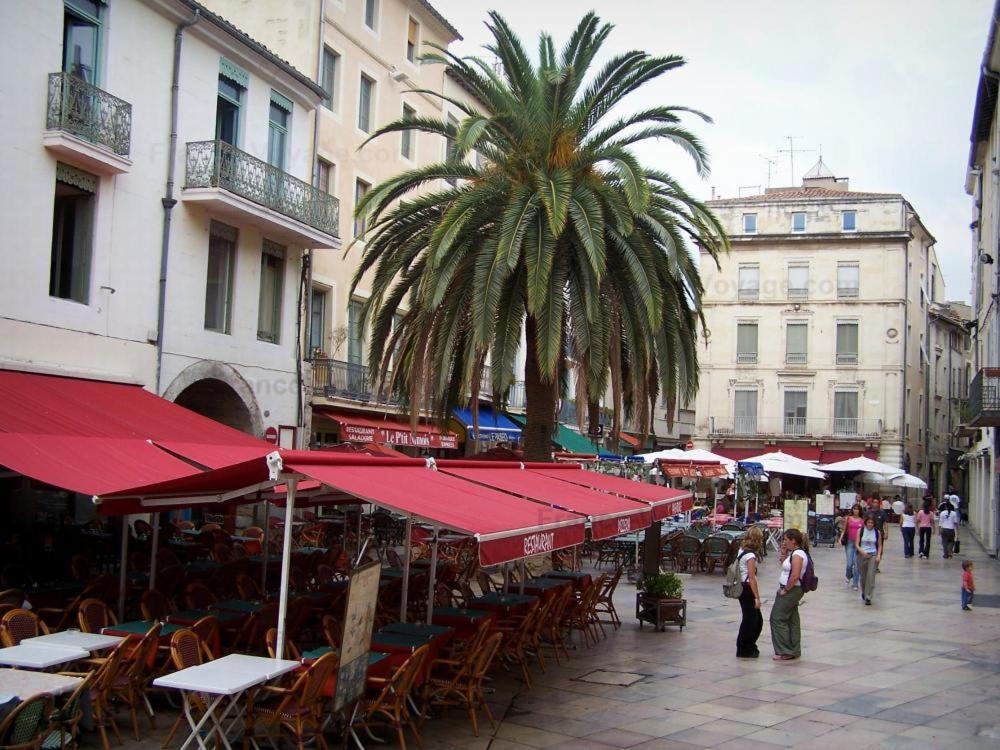 Agreable Appartement T2 Proche Centre Nîmes Dış mekan fotoğraf